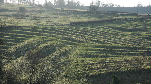 Ridge and furrow patterns on the hillside to the west of Lower Coscombe Farm above the small village of Wood Stanway. Reused under a Creative Commons Licence © Copyright Philip Halling.